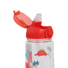 Load image into Gallery viewer, Roamie Dinosaur Drinks Bottle
